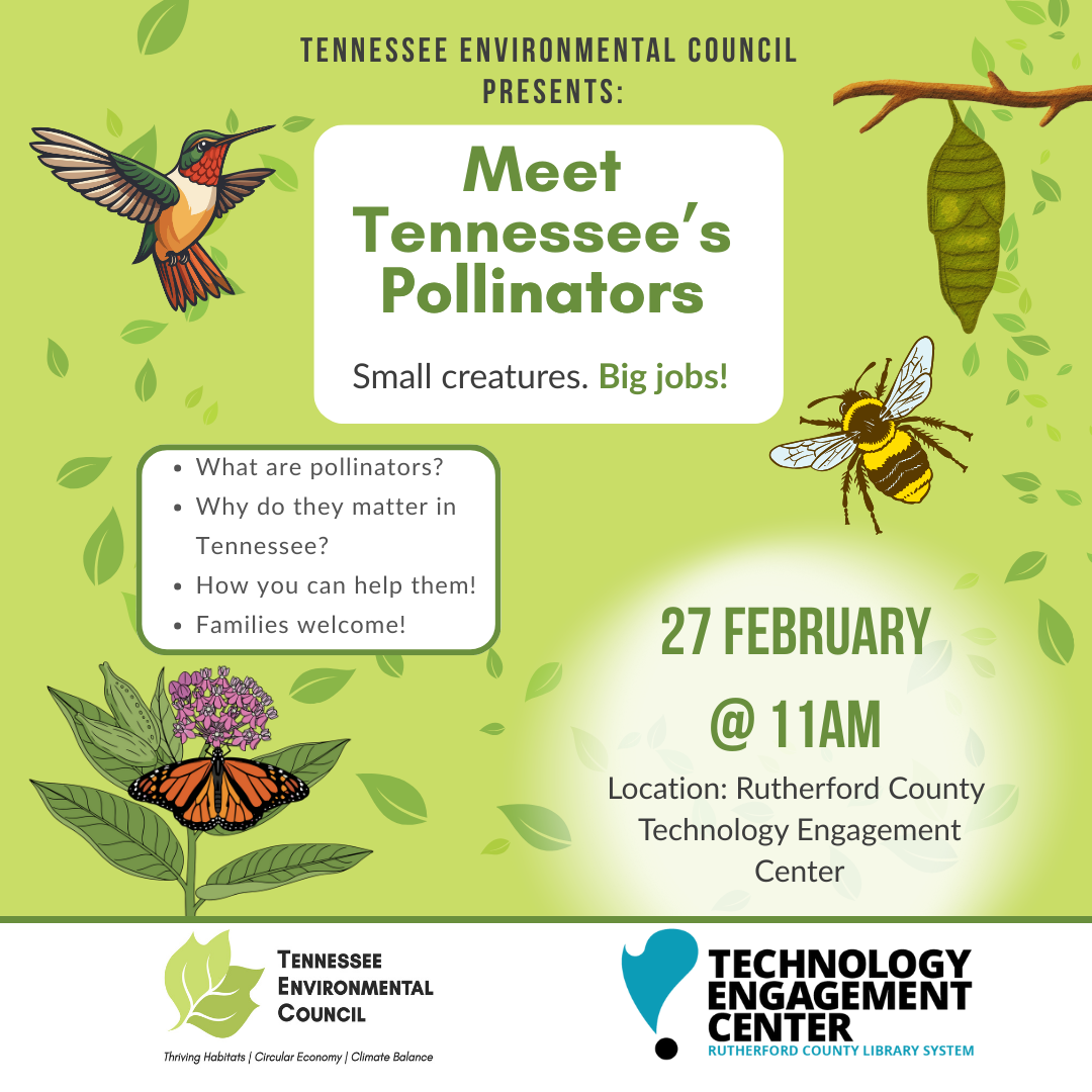 GET TO KNOW YOUR POLLINATORS (US Letter)